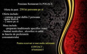 Фотографии Гостевой дом Pensiune Restaurant la Pogace г. Сэпынца (Румыния) №4 Фото Гостевой дом Pensiune Restaurant la Pogace г. Сэпынца 4